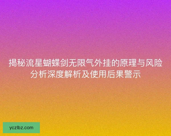 揭秘流星蝴蝶剑无限气外挂的原理与风险分析深度解析及使用后果警示